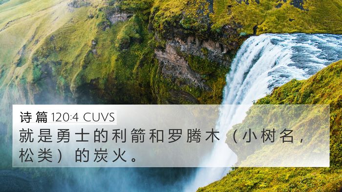 诗 篇 120:4 CUVS Bible Verse Image