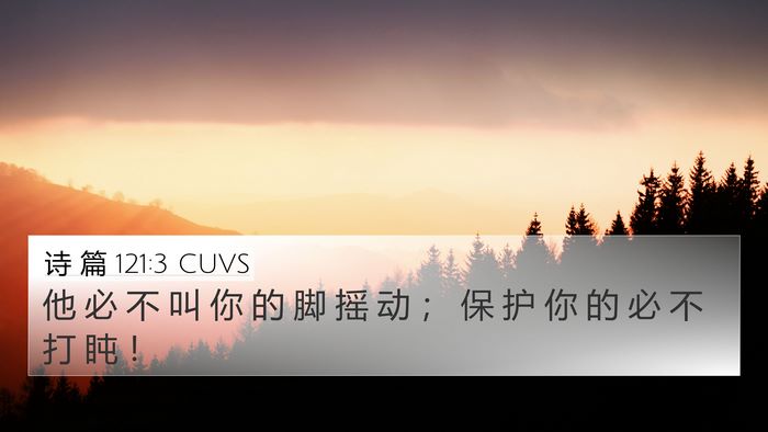 诗 篇 121:3 CUVS Bible Verse Image