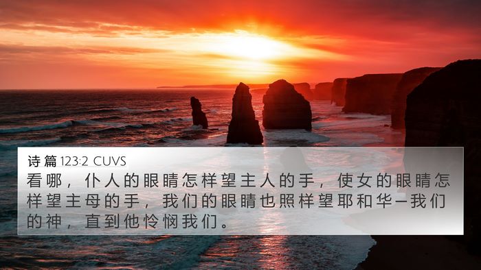诗 篇 123:2 CUVS Bible Verse Image