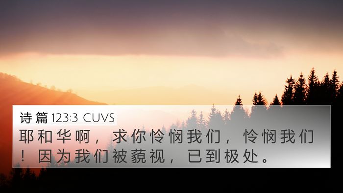 诗 篇 123:3 CUVS Bible Verse Image