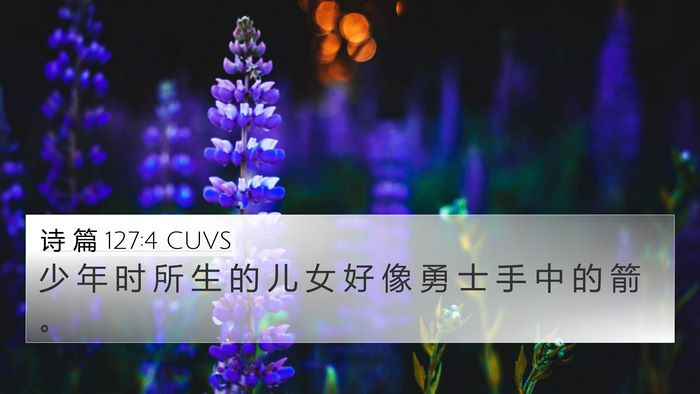 诗 篇 127:4 CUVS Bible Verse Image
