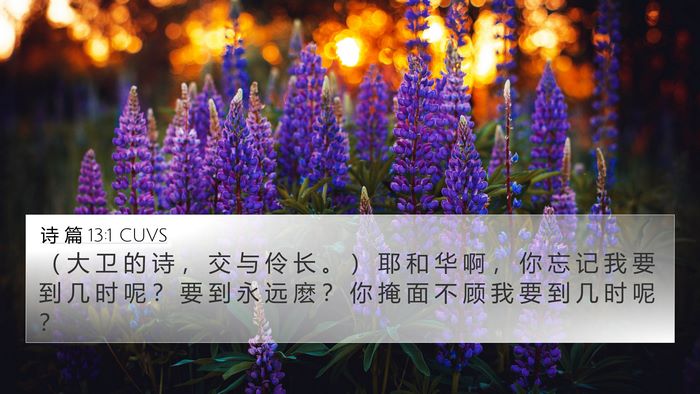 诗 篇 13:1 CUVS 4K Wallpaper - （ 大 卫 的 诗 ， 交 与 伶 长 。 ） - 4K Wallpaper Bible Verse