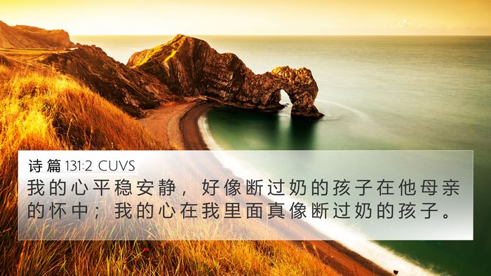 诗 篇 131:2 CUVS Bible Verse Image