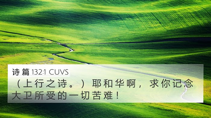 诗 篇 132:1 CUVS 4K Wallpaper - （ 上 行 之 诗 。 ） 耶 和 华 啊 ， - 4K Wallpaper Bible Verse