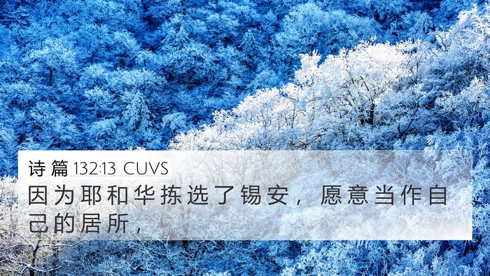 诗 篇 132:13 CUVS Bible Verse Image