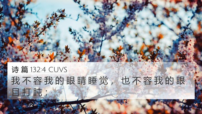 诗 篇 132:4 CUVS Bible Verse Image