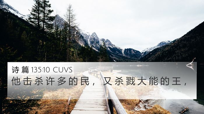 诗 篇 135:10 CUVS Bible Verse Image
