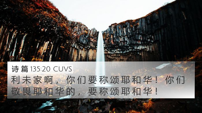 诗 篇 135:20 CUVS Bible Verse Image