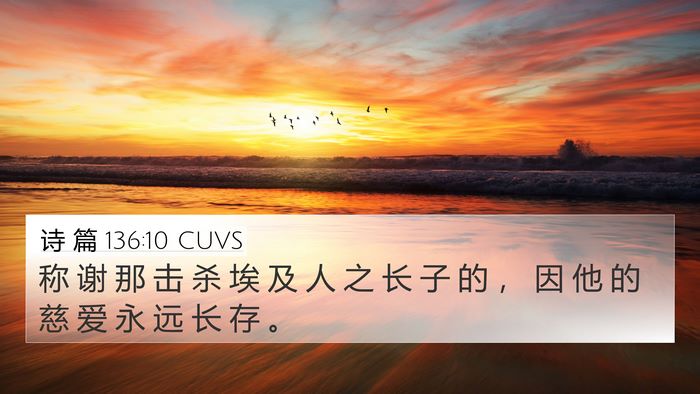 诗 篇 136:10 CUVS Bible Verse Image