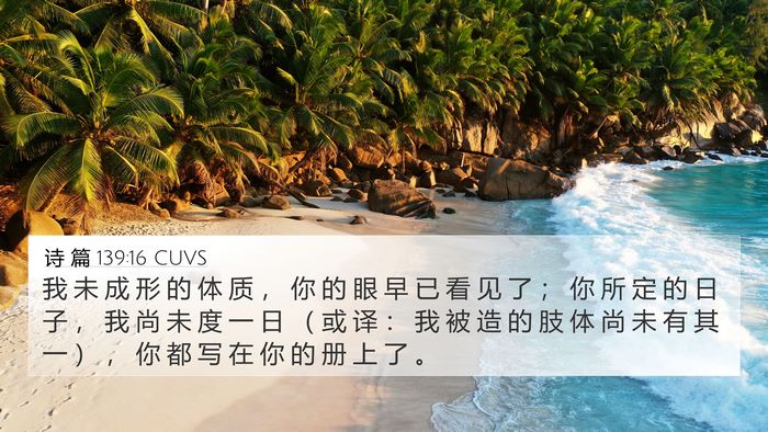 诗 篇 139:16 CUVS Bible Verse Image