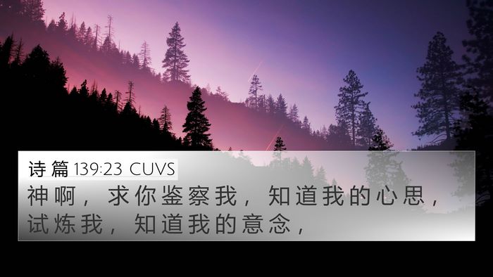 诗 篇 139:23 CUVS Bible Verse Image