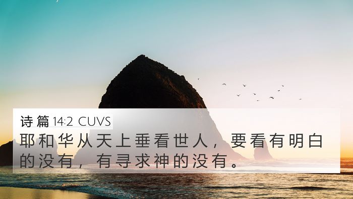 诗 篇 14:2 CUVS Bible Verse Image