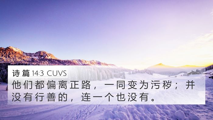 诗 篇 14:3 CUVS Bible Verse Image