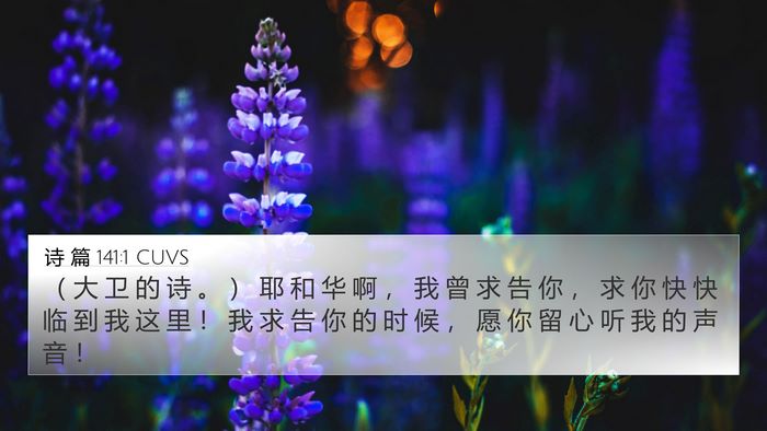 诗 篇 141:1 CUVS Bible Verse Image