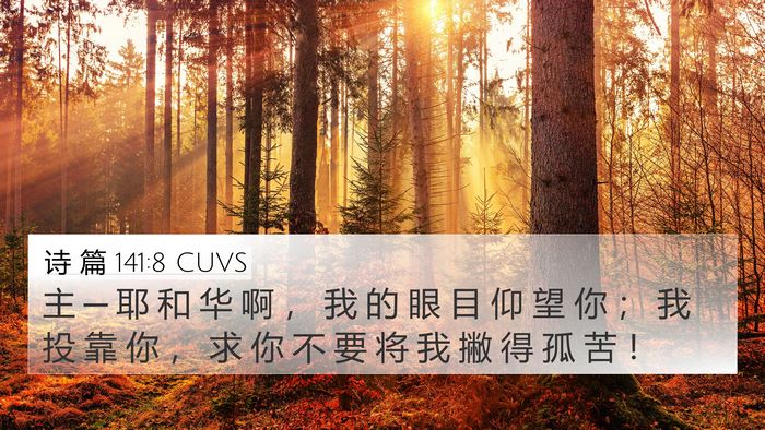 诗 篇 141:8 CUVS Bible Verse Image