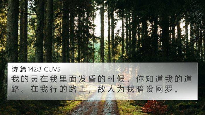 诗 篇 142:3 CUVS Bible Verse Image