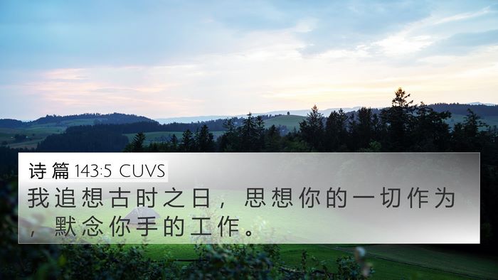 诗 篇 143:5 CUVS Bible Verse Image