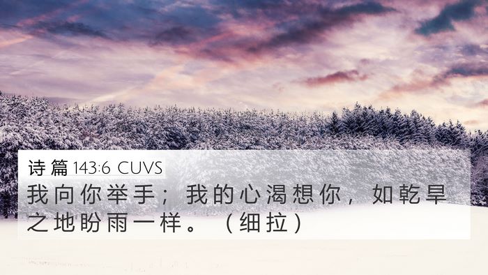 诗 篇 143:6 CUVS Bible Verse Image