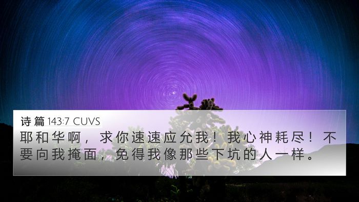 诗 篇 143:7 CUVS Bible Verse Image