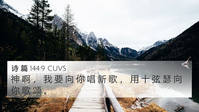 诗 篇 144:9 CUVS Bible Verse Image