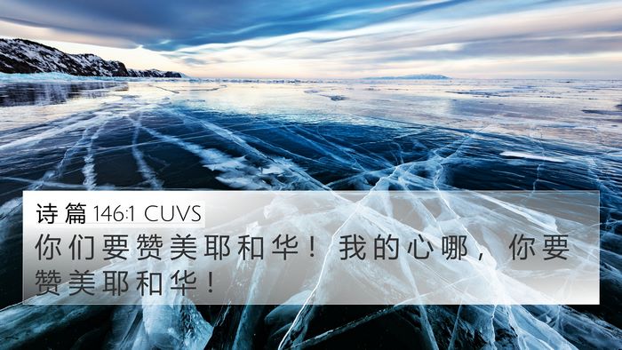 诗 篇 146:1 CUVS Bible Verse Image