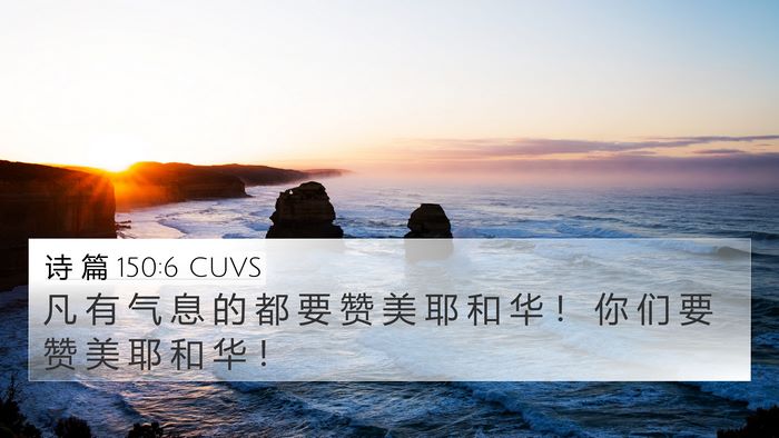 诗 篇 150:6 CUVS Bible Verse Image