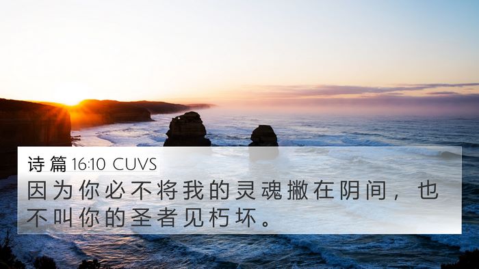诗 篇 16:10 CUVS Bible Verse Image