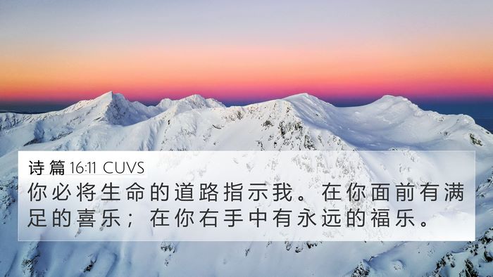 诗 篇 16:11 CUVS Bible Verse Image