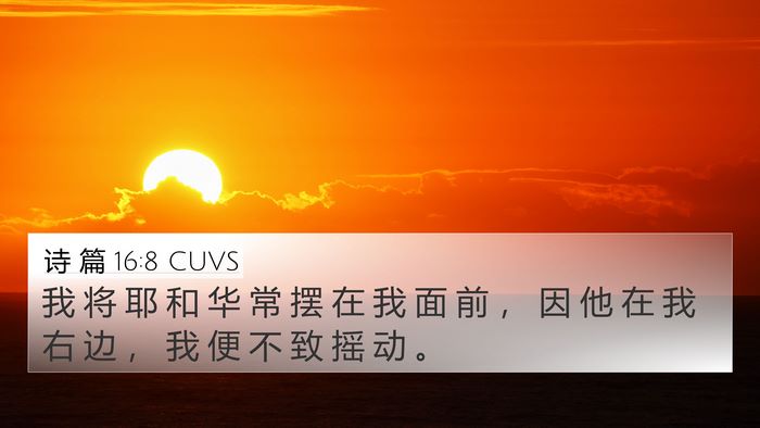 诗 篇 16:8 CUVS 4K Wallpaper - 我 将 耶 和 华 常 摆 在 我 面 前 ， - 4K Wallpaper Bible Verse