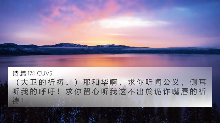 诗 篇 17:1 CUVS Bible Verse Image