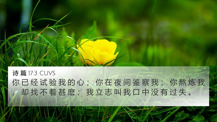 诗 篇 17:3 CUVS Bible Verse Image