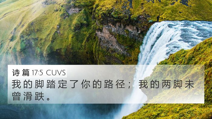 诗 篇 17:5 CUVS Bible Verse Image