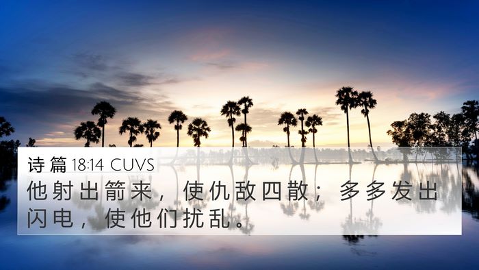 诗 篇 18:14 CUVS Bible Verse Image