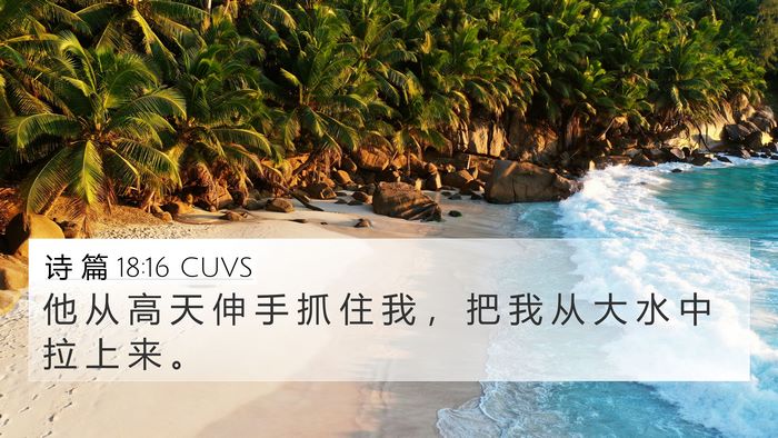 诗 篇 18:16 CUVS Bible Verse Image