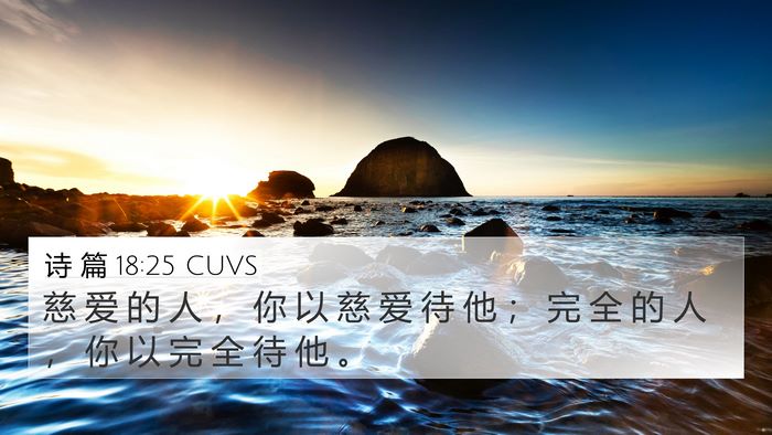 诗 篇 18:25 CUVS Bible Verse Image