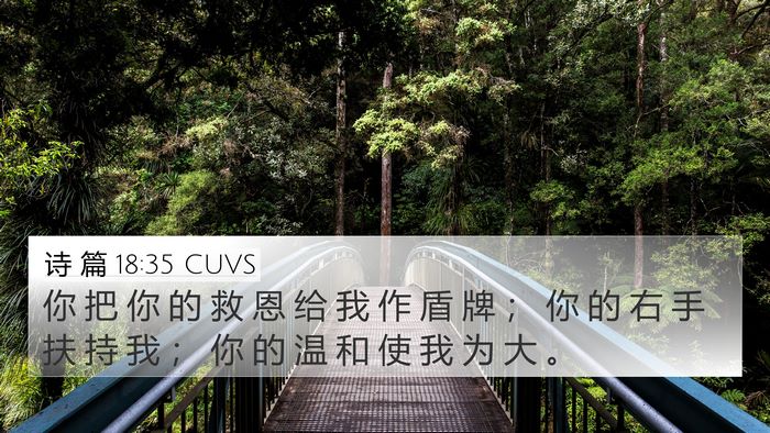 诗 篇 18:35 CUVS Bible Verse Image