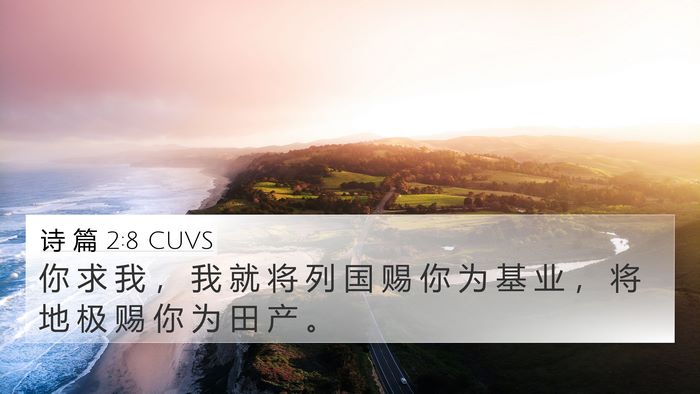 诗 篇 2:8 CUVS Bible Verse Image