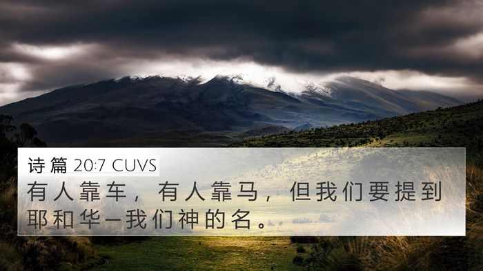 诗 篇 20:7 CUVS Bible Verse Image