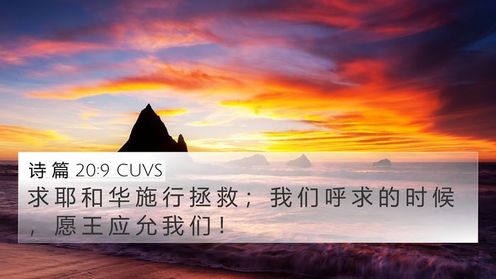 诗 篇 20:9 CUVS Bible Verse Image