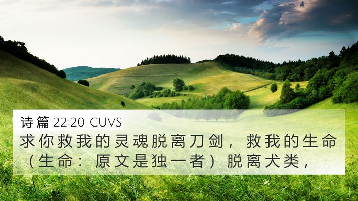 诗 篇 22:20 CUVS Bible Verse Image