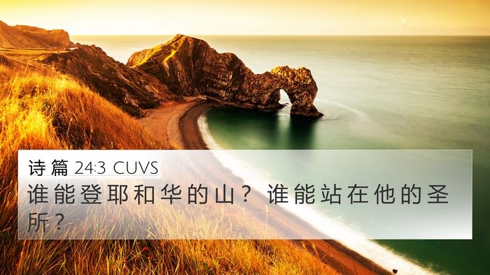 诗 篇 24:3 CUVS Bible Verse Image