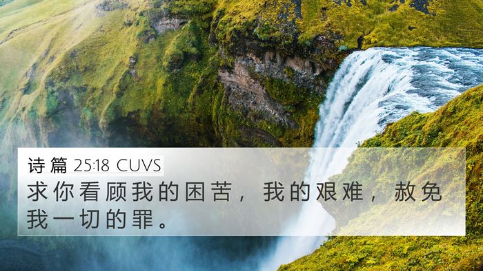 诗 篇 25:18 CUVS Bible Verse Image