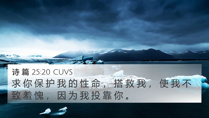 诗 篇 25:20 CUVS Bible Verse Image