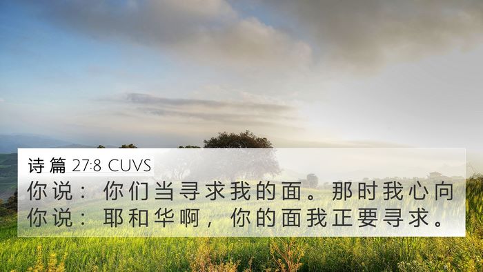 诗 篇 27:8 CUVS Bible Verse Image