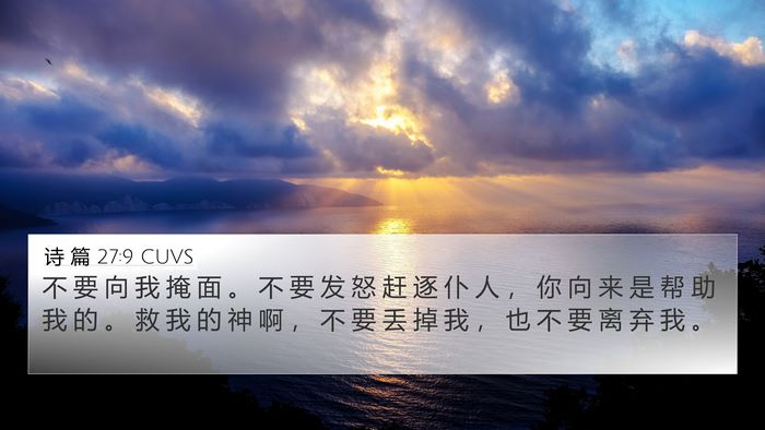 诗 篇 27:9 CUVS Bible Verse Image