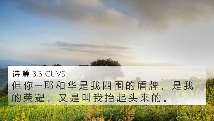 诗 篇 3:3 CUVS Bible Verse Image
