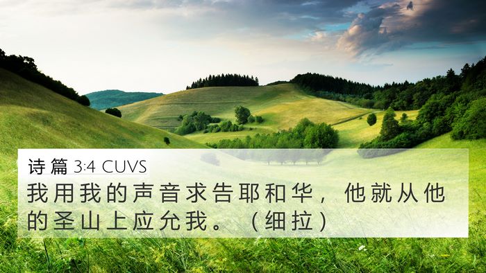 诗 篇 3:4 CUVS Bible Verse Image