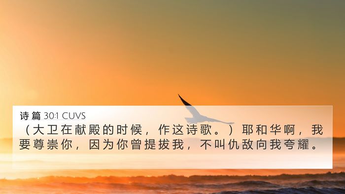 诗 篇 30:1 CUVS Bible Verse Image