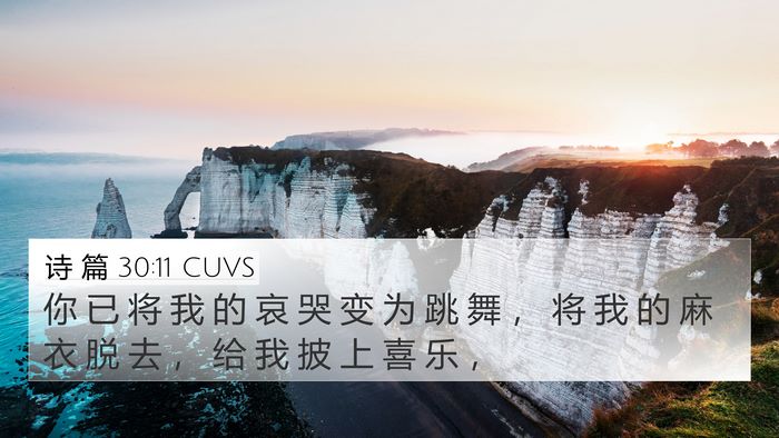 诗 篇 30:11 CUVS Bible Verse Image