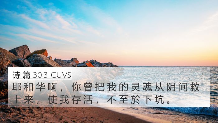 诗 篇 30:3 CUVS Bible Verse Image